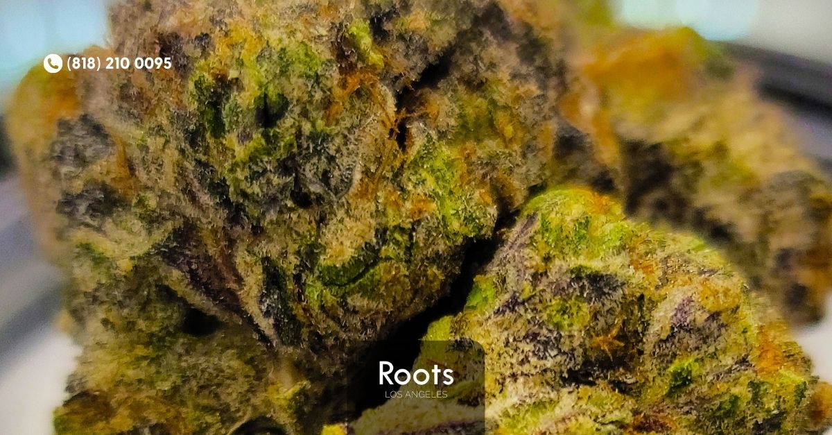 Weed Store Los Angeles