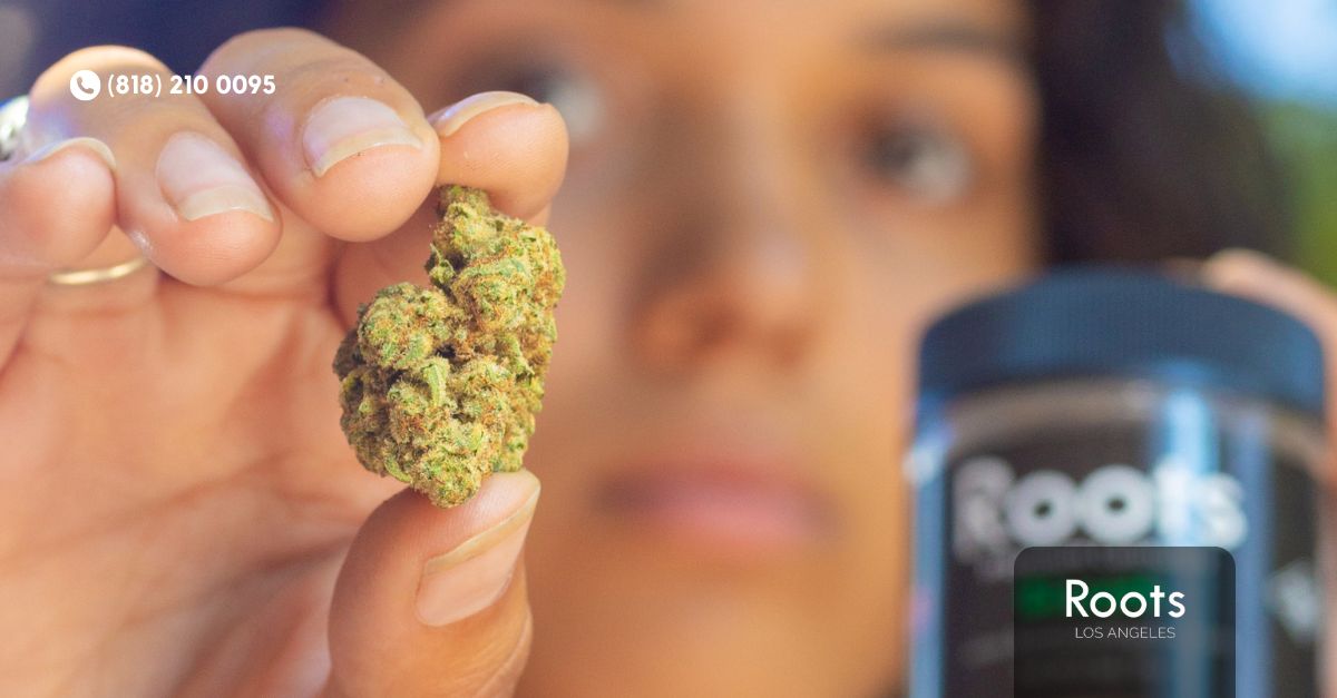  Los Angeles dispensary