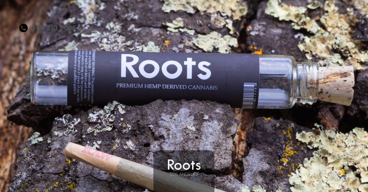 Best Dispensary in Los Angeles