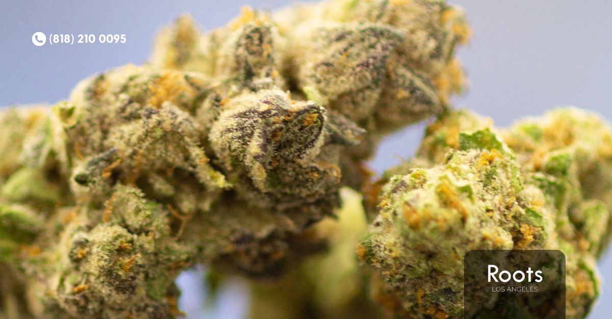 Los Angeles Dispensary