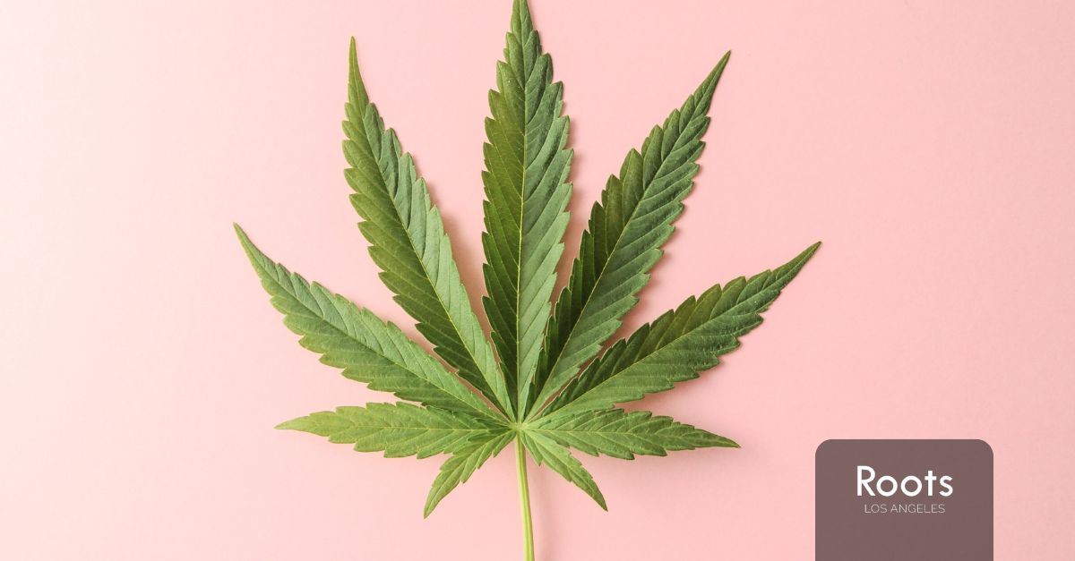 Weed Dispensary in Sun Valley weed dispensary in sun valley