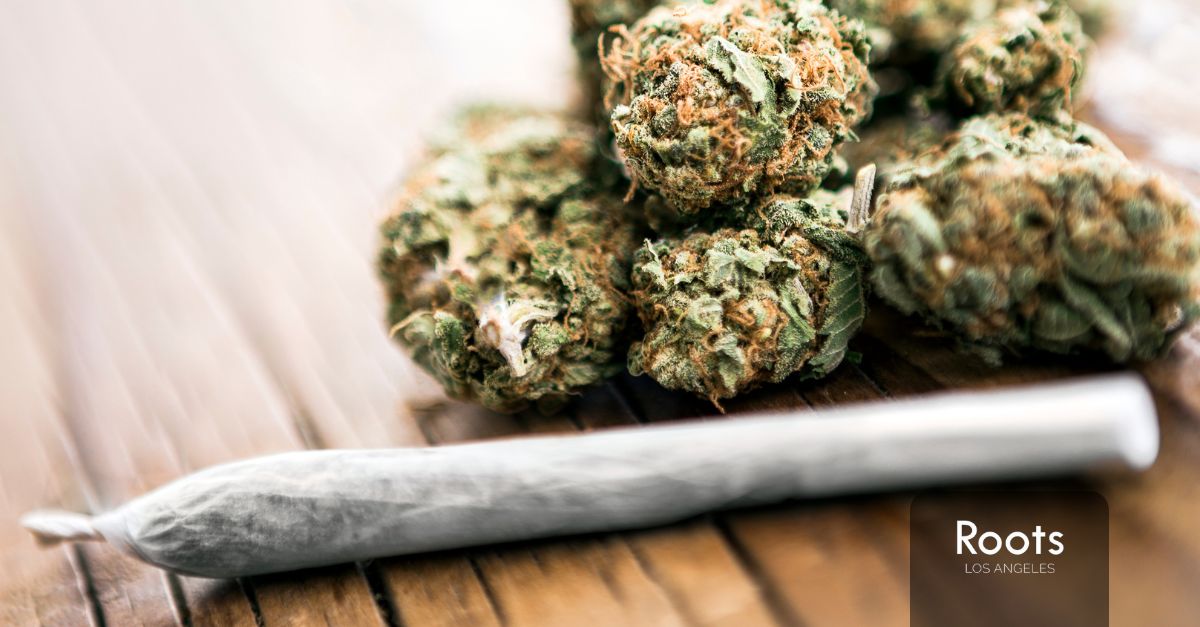 Dispensaries in Sun Valley