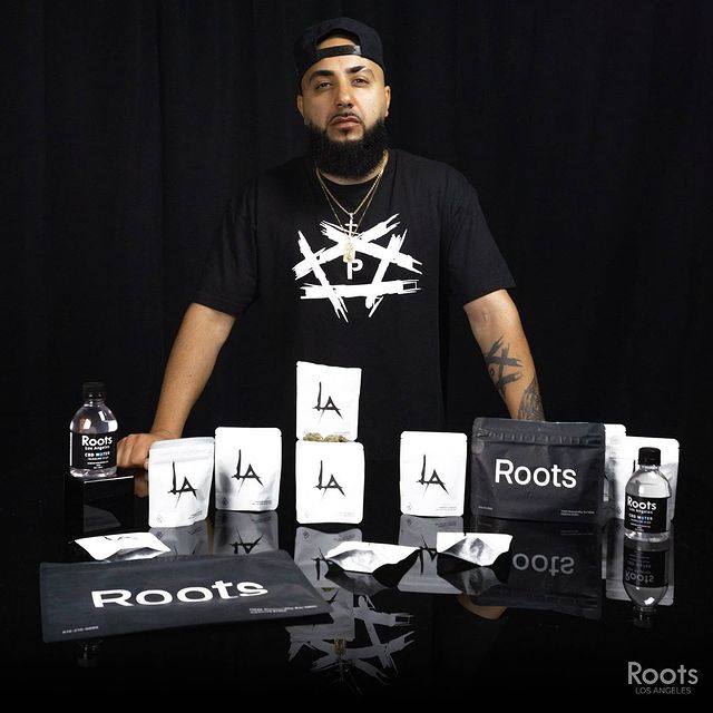 weed dispensary near north hollywood