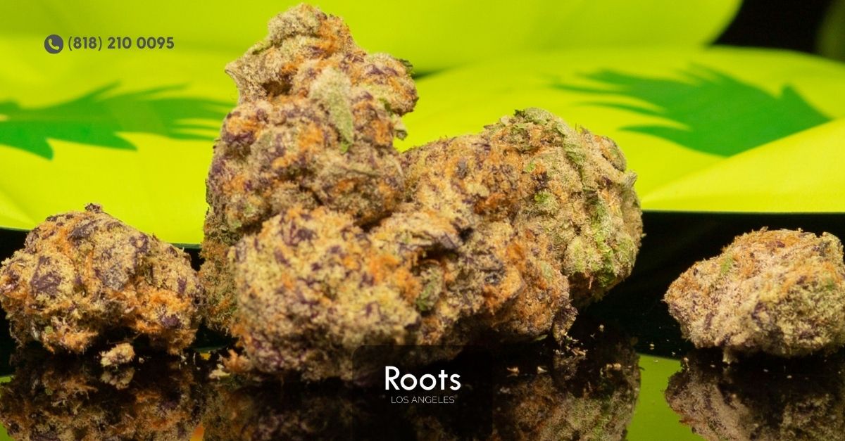 Weed Dispensary Sun Valley