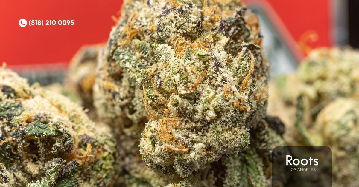 Weed Stores in Los Angeles
