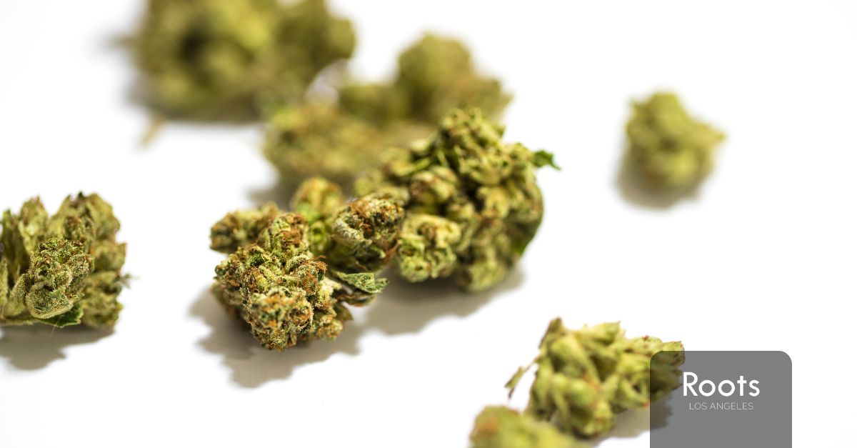 Recreational Stores Near Me