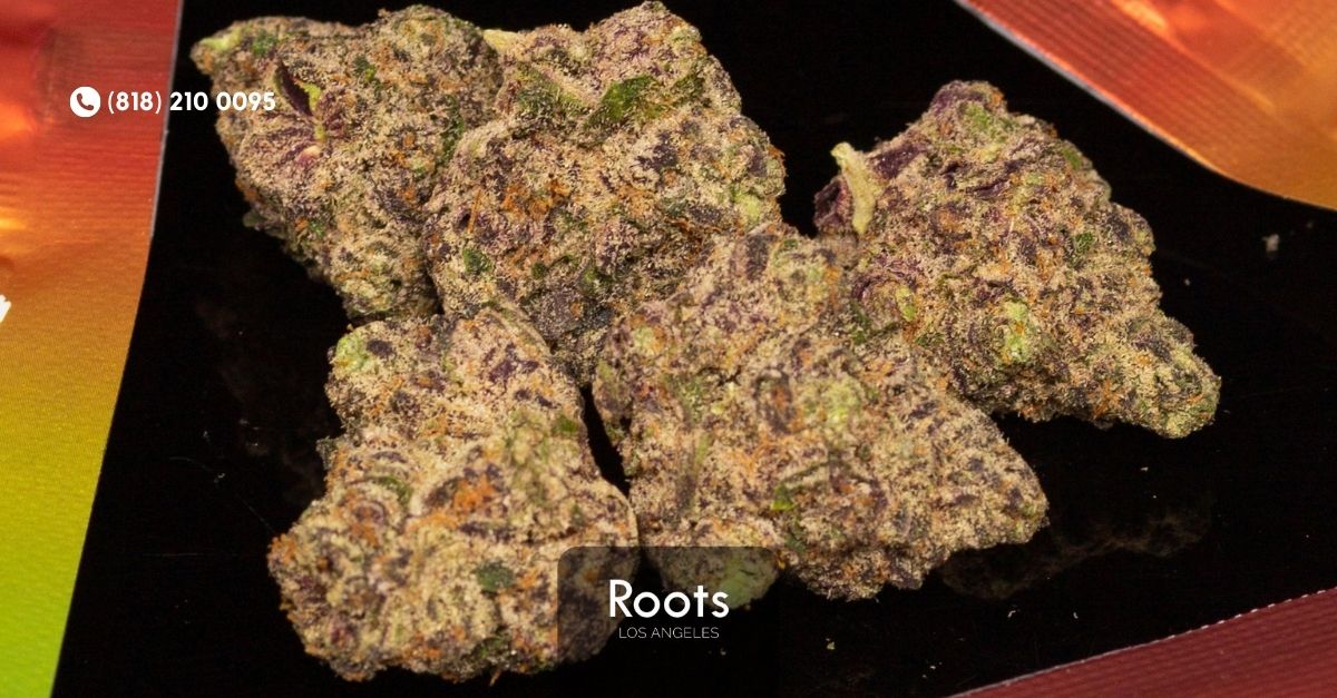 Recreational Hollywood Dispensary